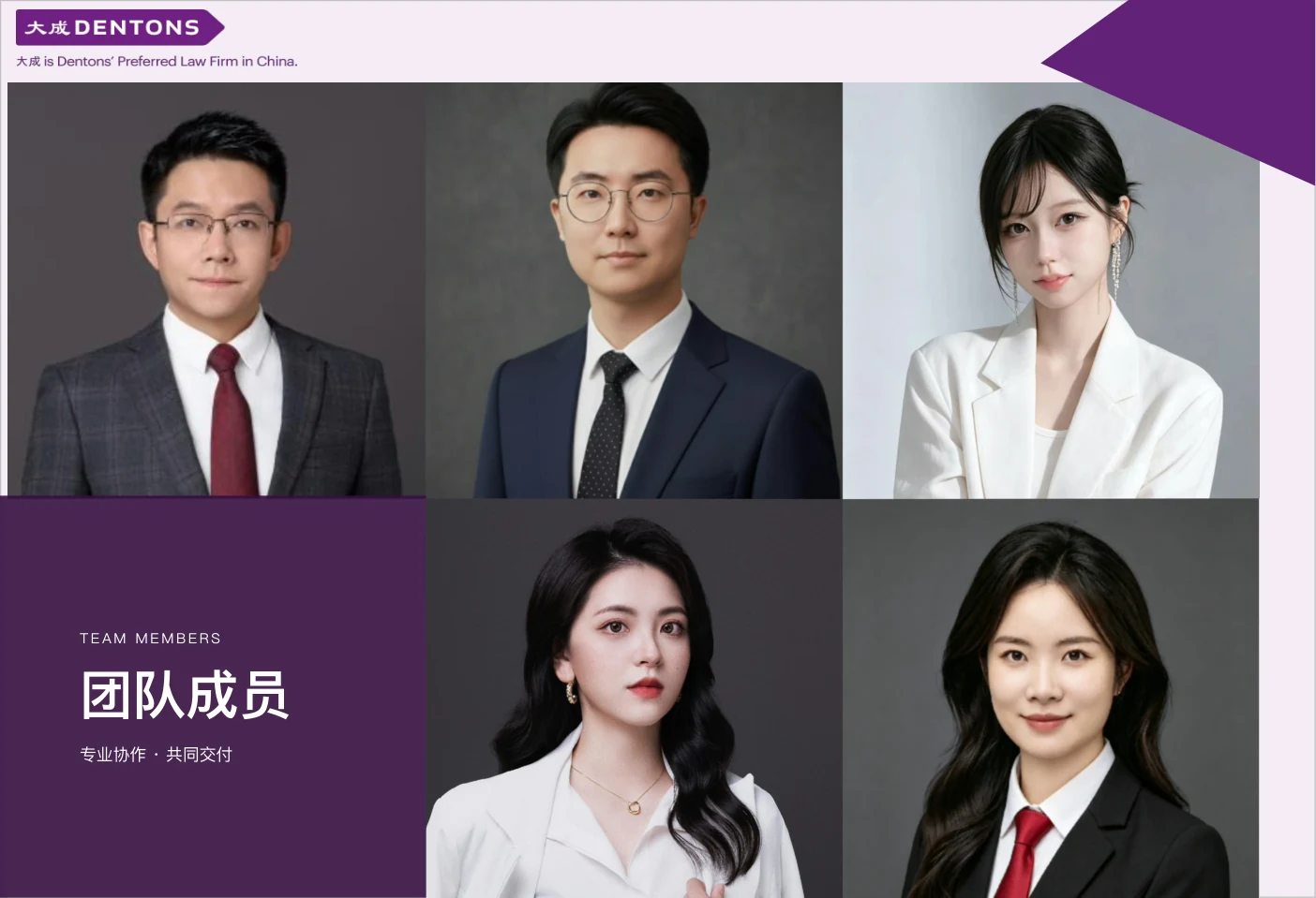 敬霖律师团队介绍册第8页